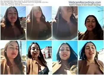 stripchat-dulce__26-01-22-2025-15-42-09