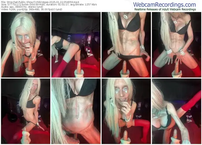 stripchat-1nikivegas-01-22-2025-05-40-59