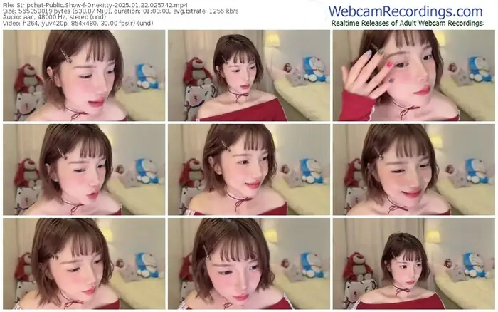 stripchat-onekitty-01-22-2025-02-57-42