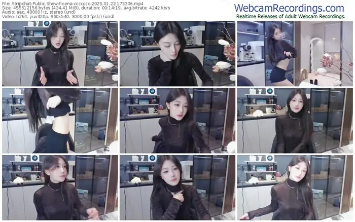 stripchat-cena-ccccccc-01-22-2025-17-33-06