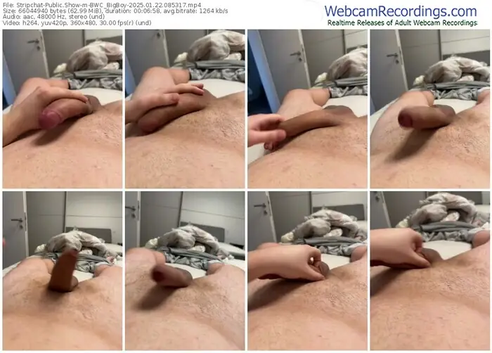stripchat-bwc_bigboy-01-22-2025-08-53-17