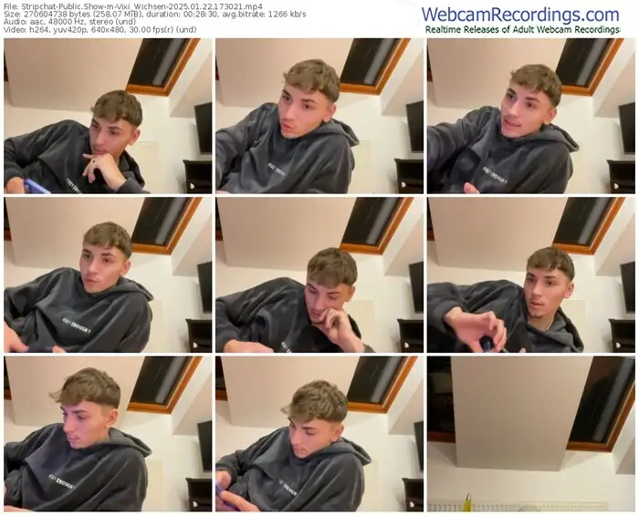 stripchat-vixi_wichsen-01-22-2025-17-30-21