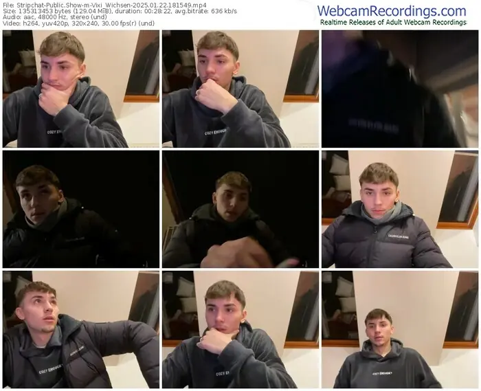 stripchat-vixi_wichsen-01-22-2025-18-15-49