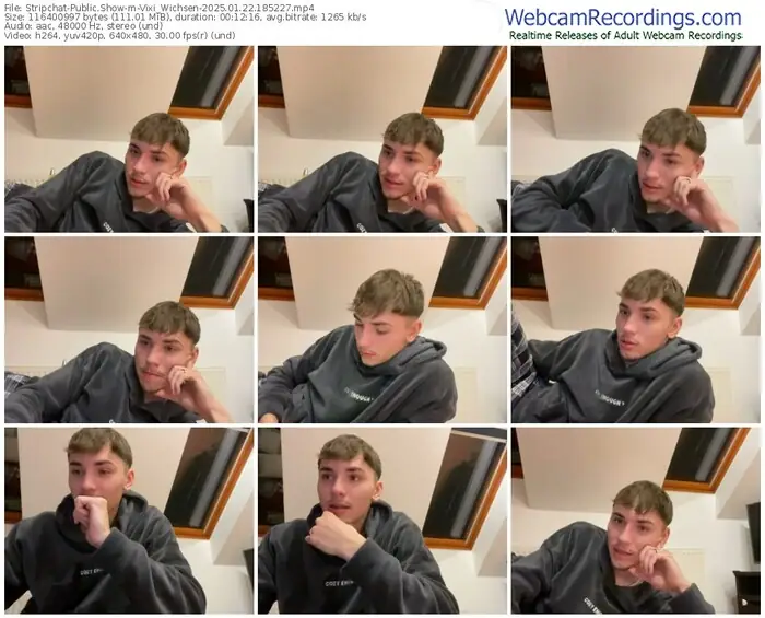 stripchat-vixi_wichsen-01-22-2025-18-52-27