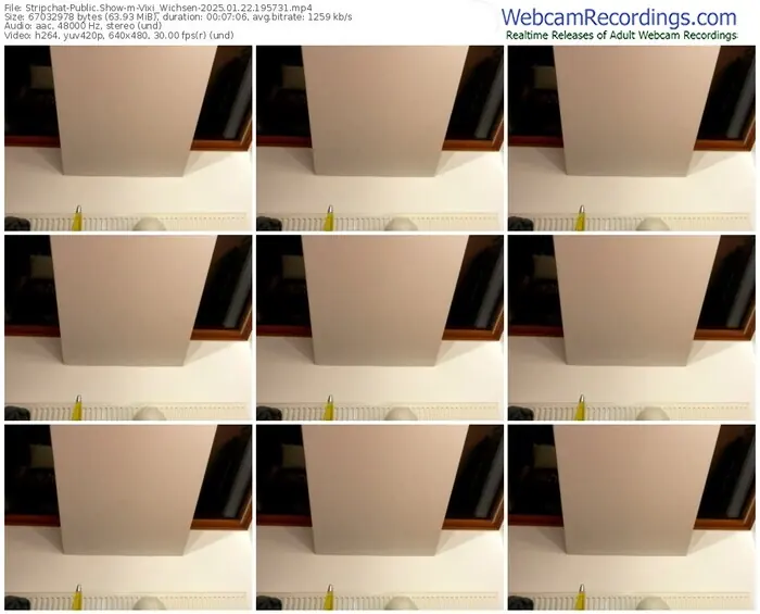 stripchat-vixi_wichsen-01-22-2025-19-57-31
