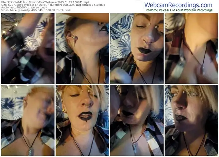 stripchat-pinkthehawk-01-23-2025-10-06-41