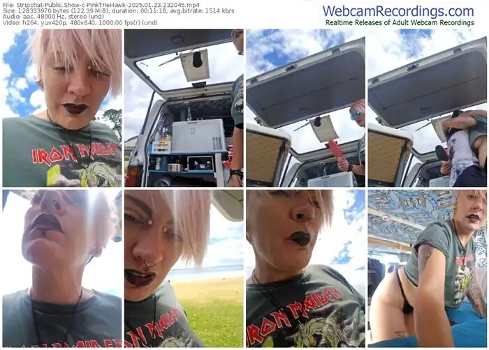 stripchat-pinkthehawk-01-23-2025-23-20-45