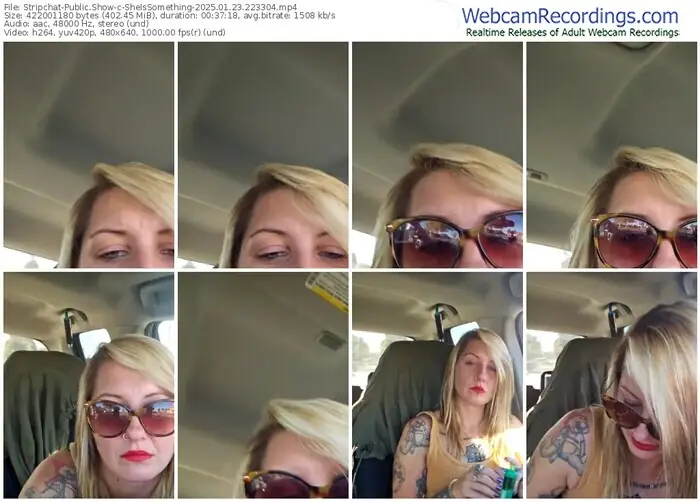 stripchat-sheissomething-01-23-2025-22-33-04