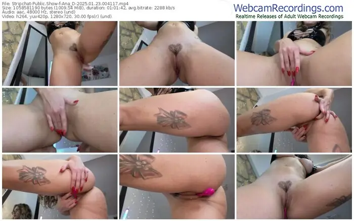 stripchat-ana_d-01-23-2025-00-41-17