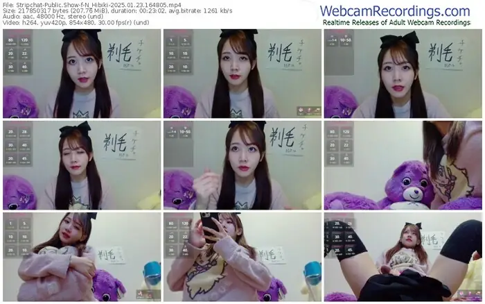 stripchat-n_hibiki-01-23-2025-16-48-05