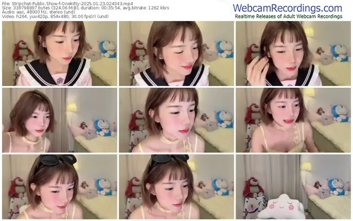 stripchat-onekitty-01-23-2025-02-43-43