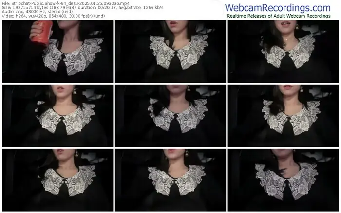 stripchat-rin_desu-01-23-2025-09-30-36