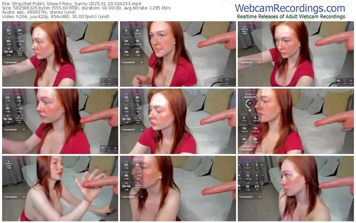 stripchat-roxy_sunny-01-23-2025-03-42-33