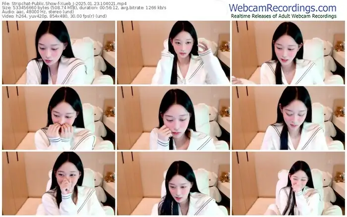 stripchat-xueb_j-01-23-2025-10-40-21
