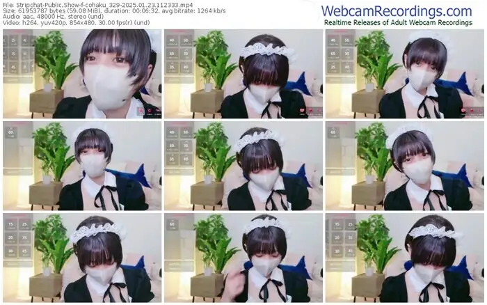 stripchat-cohaku_329-01-23-2025-11-23-33