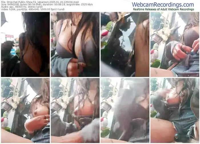 stripchat-k_lebannon-01-23-2025-22-50-34