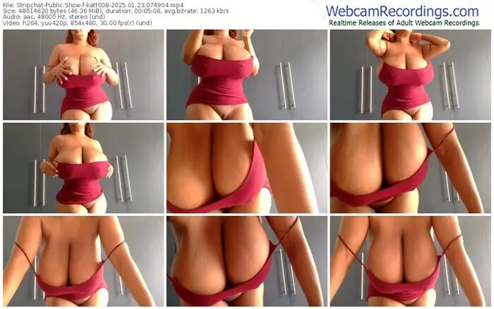 stripchat-katt008-01-23-2025-07-49-04
