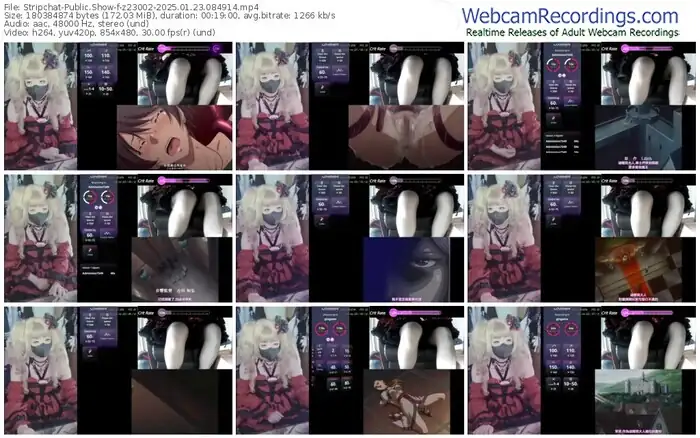 stripchat-z23002-01-23-2025-08-49-14