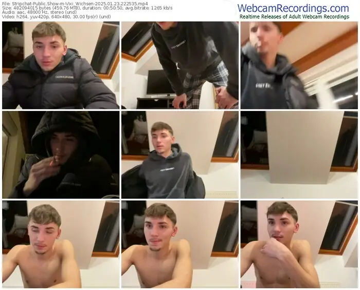 stripchat-vixi_wichsen-01-23-2025-22-25-35