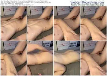 stripchat-secret_dream415-01-23-2025-22-54-40