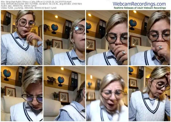 stripchat-cata_office-12-01-24-2025-20-37-53