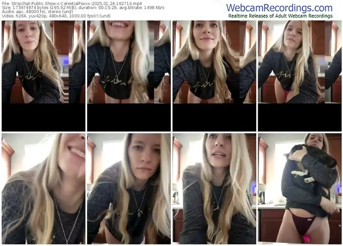 stripchat-celestialfoxxx-01-24-2025-16-27-13