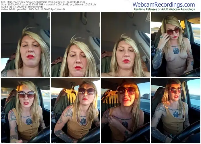 stripchat-sheissomething-01-24-2025-00-38-44