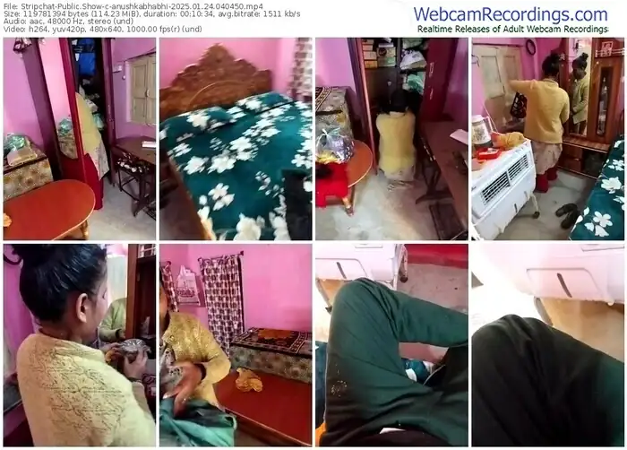 stripchat-anushkabhabhi-01-24-2025-04-04-50