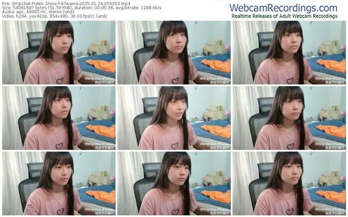 stripchat-87wawa-01-24-2025-05-53-53