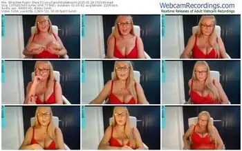 stripchat-curvydanishgoddessxx-01-24-2025-15-32-49