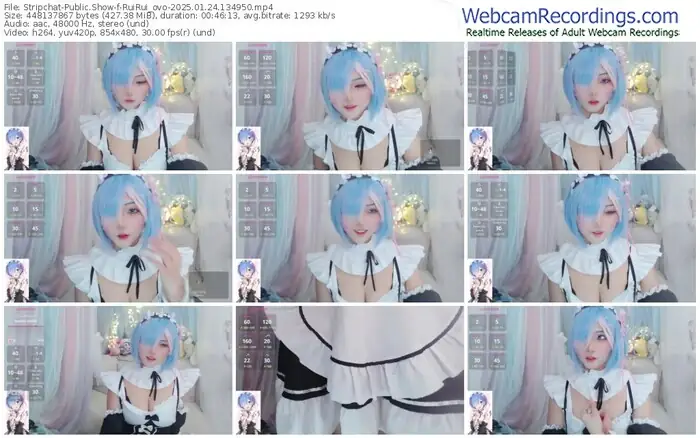 stripchat-ruirui_ovo-01-24-2025-13-49-50