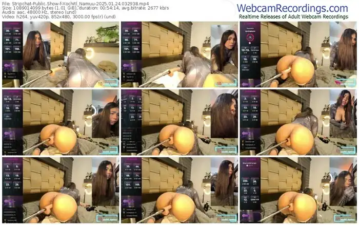 stripchat-xochitl_namuu-01-24-2025-03-29-38
