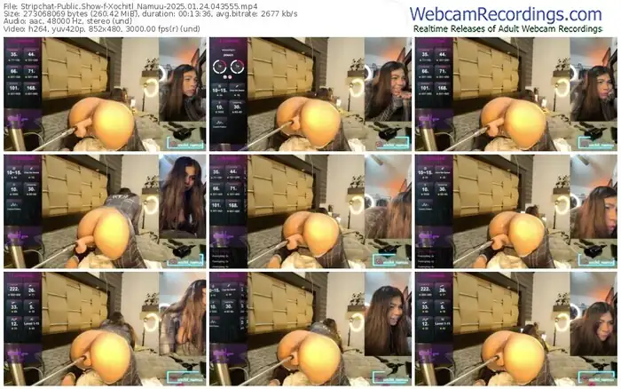 stripchat-xochitl_namuu-01-24-2025-04-35-55