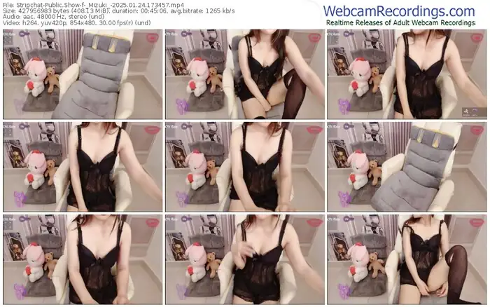 stripchat-_mizuki_-01-24-2025-17-34-57