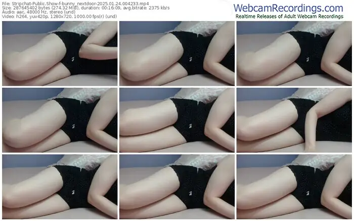 stripchat-bunny_nextdoor-01-24-2025-00-42-33