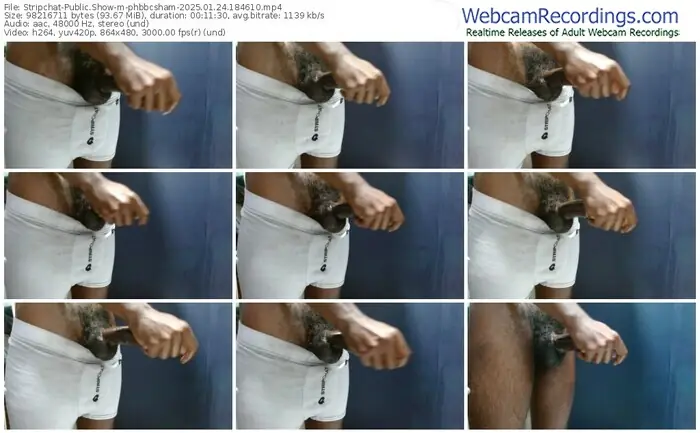 stripchat-phbbcsham-01-24-2025-18-46-10