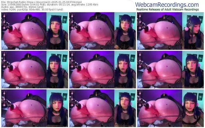 stripchat-nixycrow11-01-25-2025-06-37-04