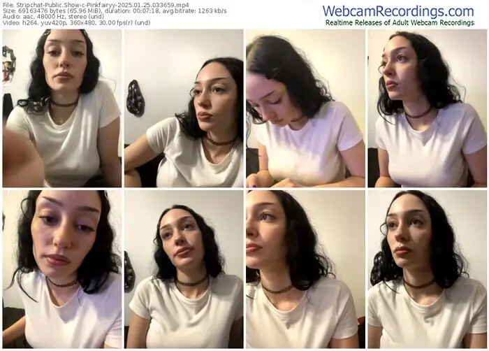 stripchat-pinkfairyy-01-25-2025-03-36-59
