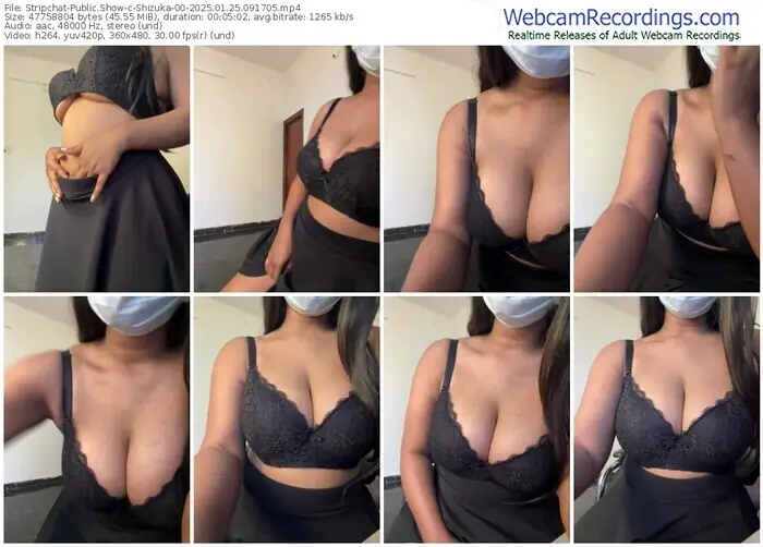 stripchat-shizuka-00-01-25-2025-09-17-05