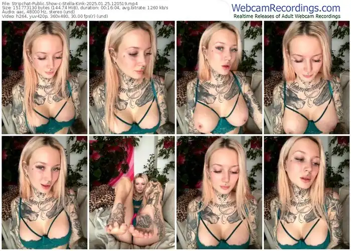 stripchat-stella-kink-01-25-2025-12-05-19
