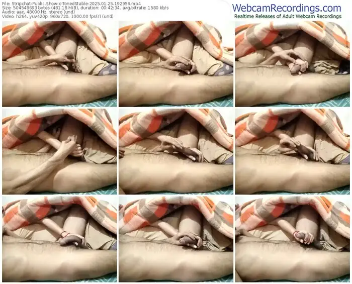 stripchat-tonedstable-01-25-2025-19-29-56