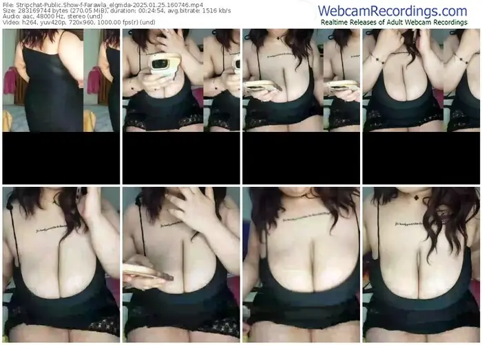 stripchat-farawla_elgmda-01-25-2025-16-07-46