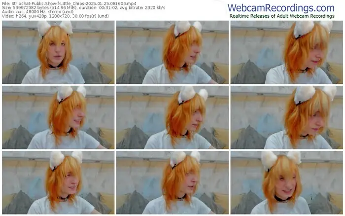 stripchat-little_chips-01-25-2025-08-16-06