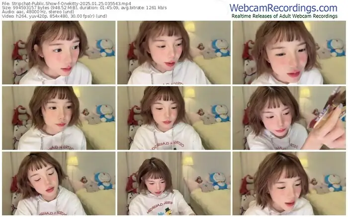stripchat-onekitty-01-25-2025-03-55-43