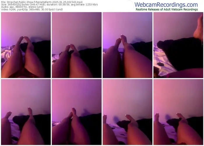 stripchat-reineneferrti-01-25-2025-00-15-43