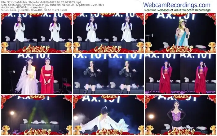 stripchat-xmh100-01-25-2025-02-38-53