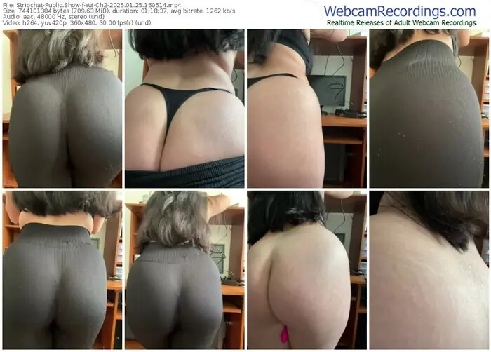 stripchat-yui-ch2-01-25-2025-16-05-14