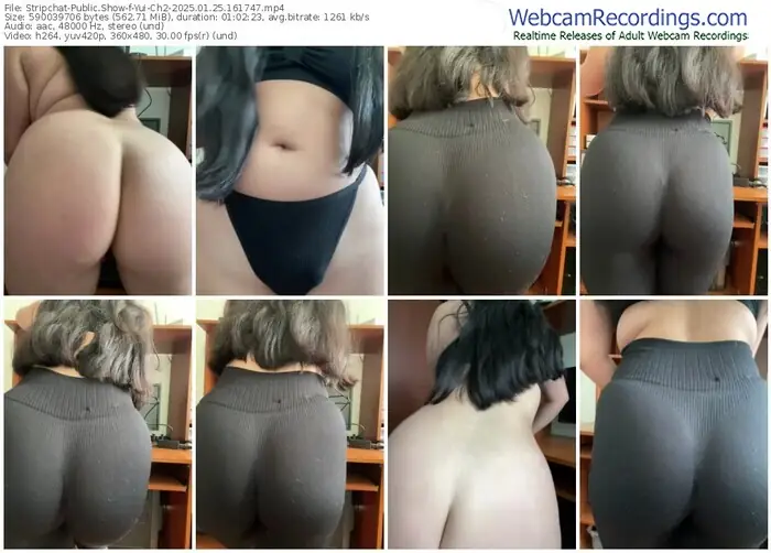 stripchat-yui-ch2-01-25-2025-16-17-47