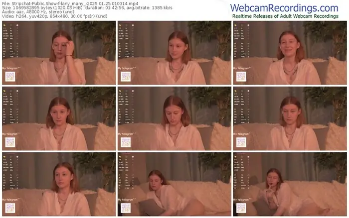 stripchat-lany_many_-01-25-2025-01-03-14