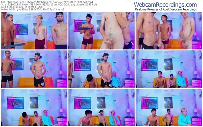 stripchat-nathan_and_boysexx-01-25-2025-10-17-48